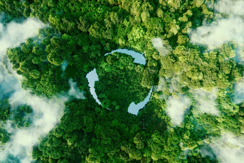 Dentsu's sustainable services